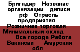 Бригадир › Название организации ­ диписи.рф › Отрасль предприятия ­ Розничная торговля › Минимальный оклад ­ 35 000 - Все города Работа » Вакансии   . Амурская обл.